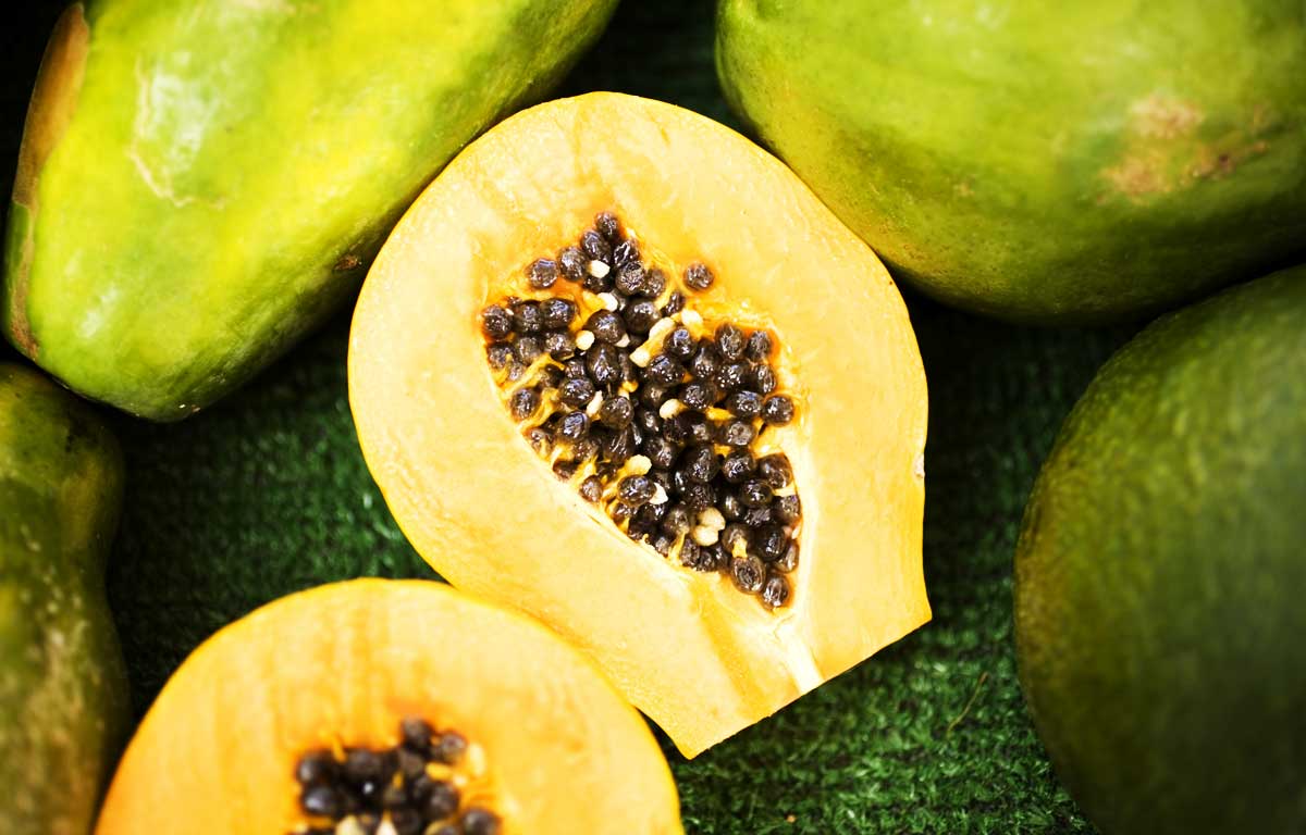 Papaya enzyme